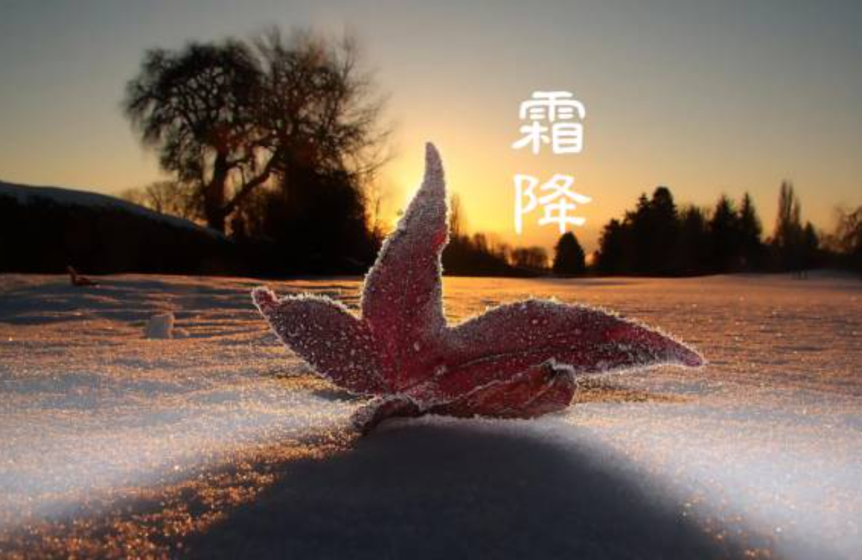文章图片
