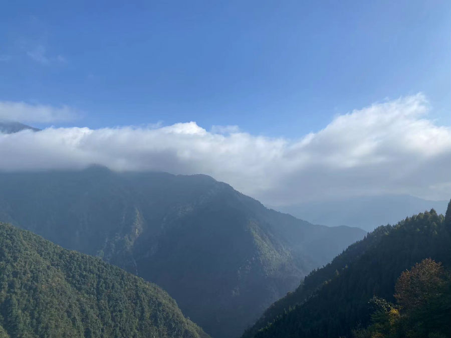 2023年10月31日-11月1日，彭州白鹿小镇、宝山集团山地旅游景区团建 · 现场图片