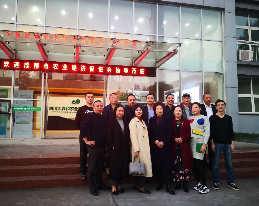 2019年11月15日，回访自贡农委 · 现场图片