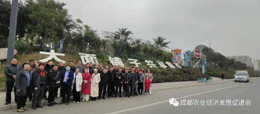 2023年1月7日，应邀参加成都农促会新年小寒茶话会 · 现场图片