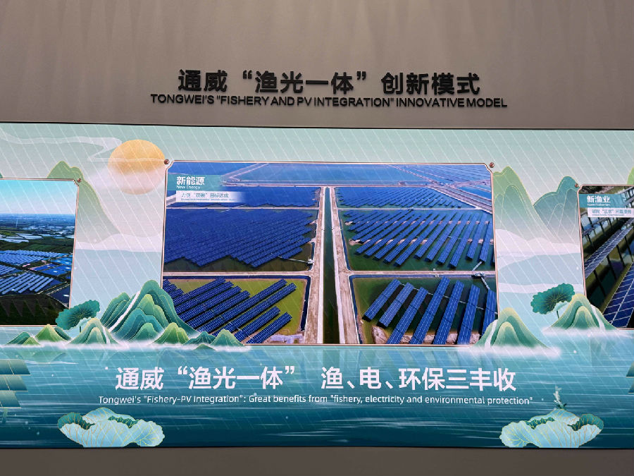 2025年9月11日,考察通威太阳能(成都)有限公司 · 现场图片