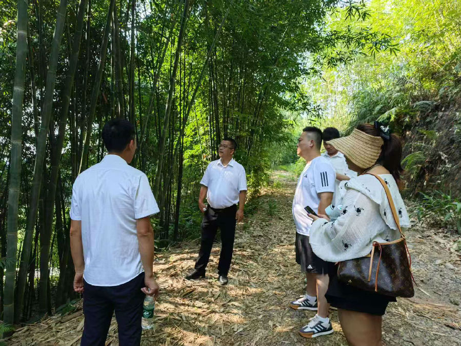 2025年7月30日,考察宜宾市江安县五横林业科技有限公司 · 现场图片