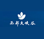 咨询案例 · 现场图片