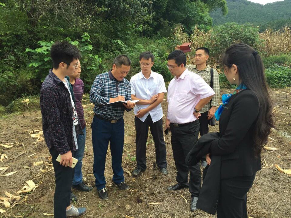 9月24日，江油市工业园区视察 · 现场图片