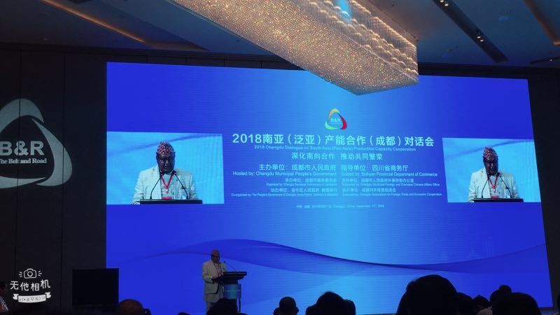 2018年9月17日，林科长和徐东琴受邀参加2018年南亚产能合作对话会 · 现场图片