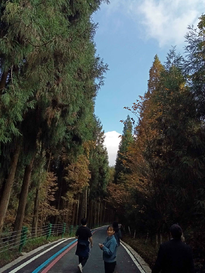 2023年10月31日-11月1日，彭州白鹿小镇、宝山集团山地旅游景区团建 · 现场图片