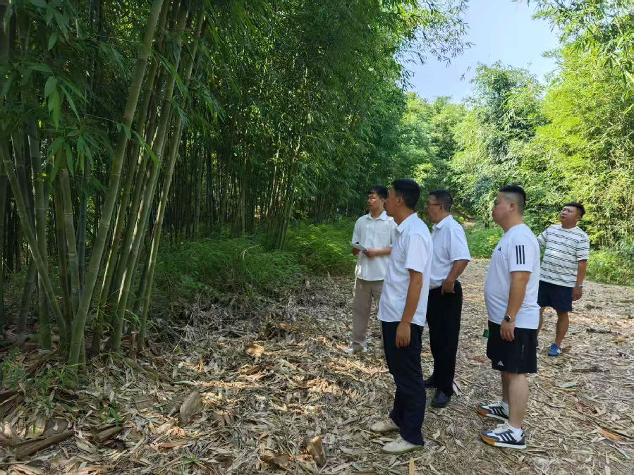 2025年7月30日,考察宜宾市江安县五横林业科技有限公司 · 现场图片